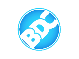 Brendan Downey Construction Ltd